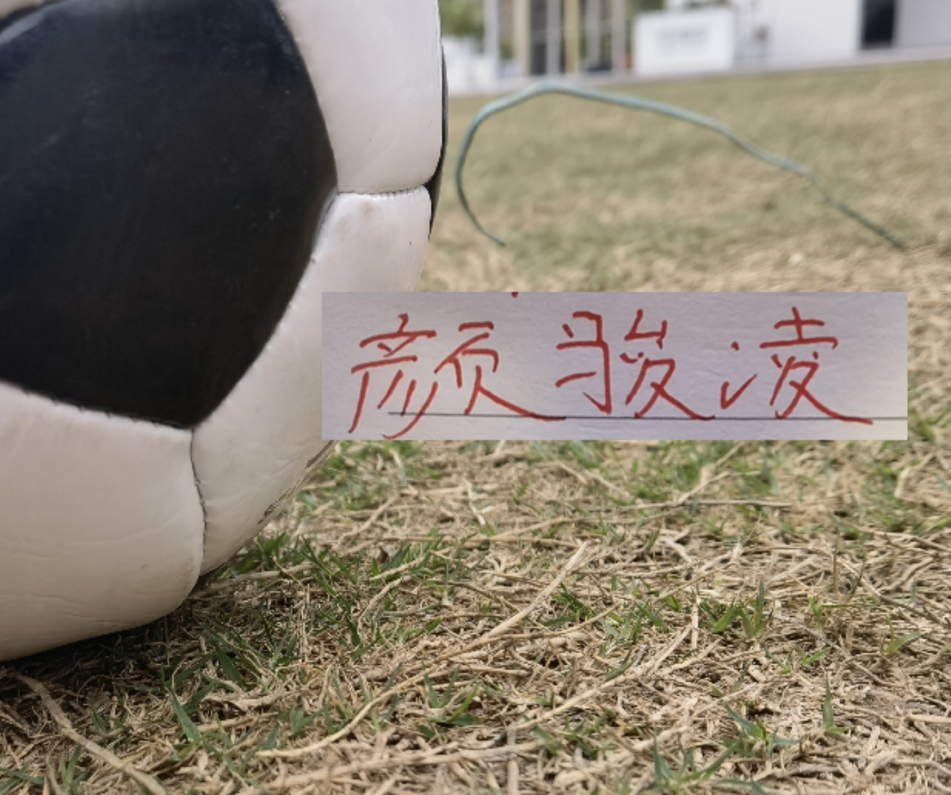 MK体育登录入口-虽然被喀麦隆上课！但中超豪门球员发挥也给力 颜骏凌多次有神扑